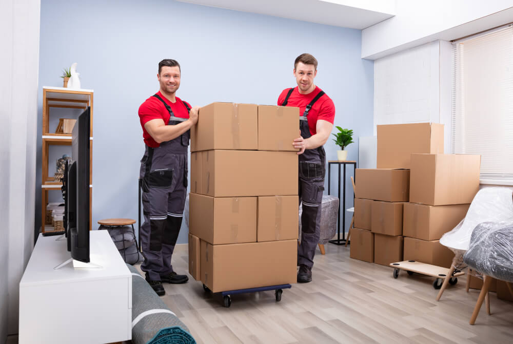 Full-Service Moving Company In Earleton